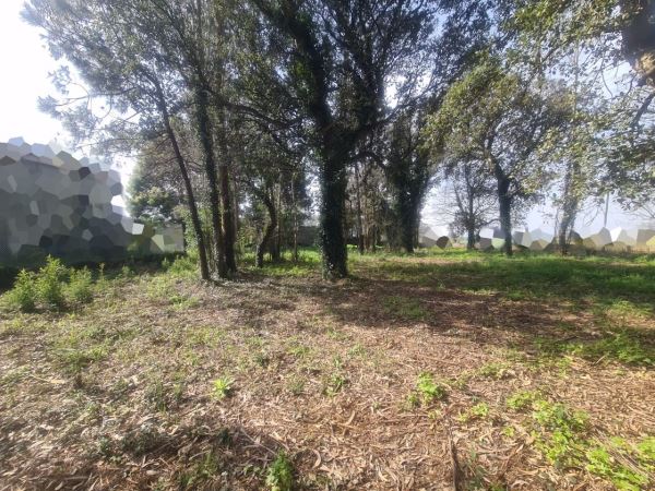 Agricultural land, para Sale