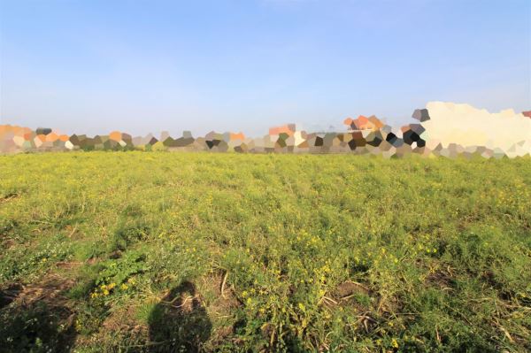 Lot for individual housing, para Sale