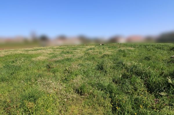 Land for house construction, para Sale