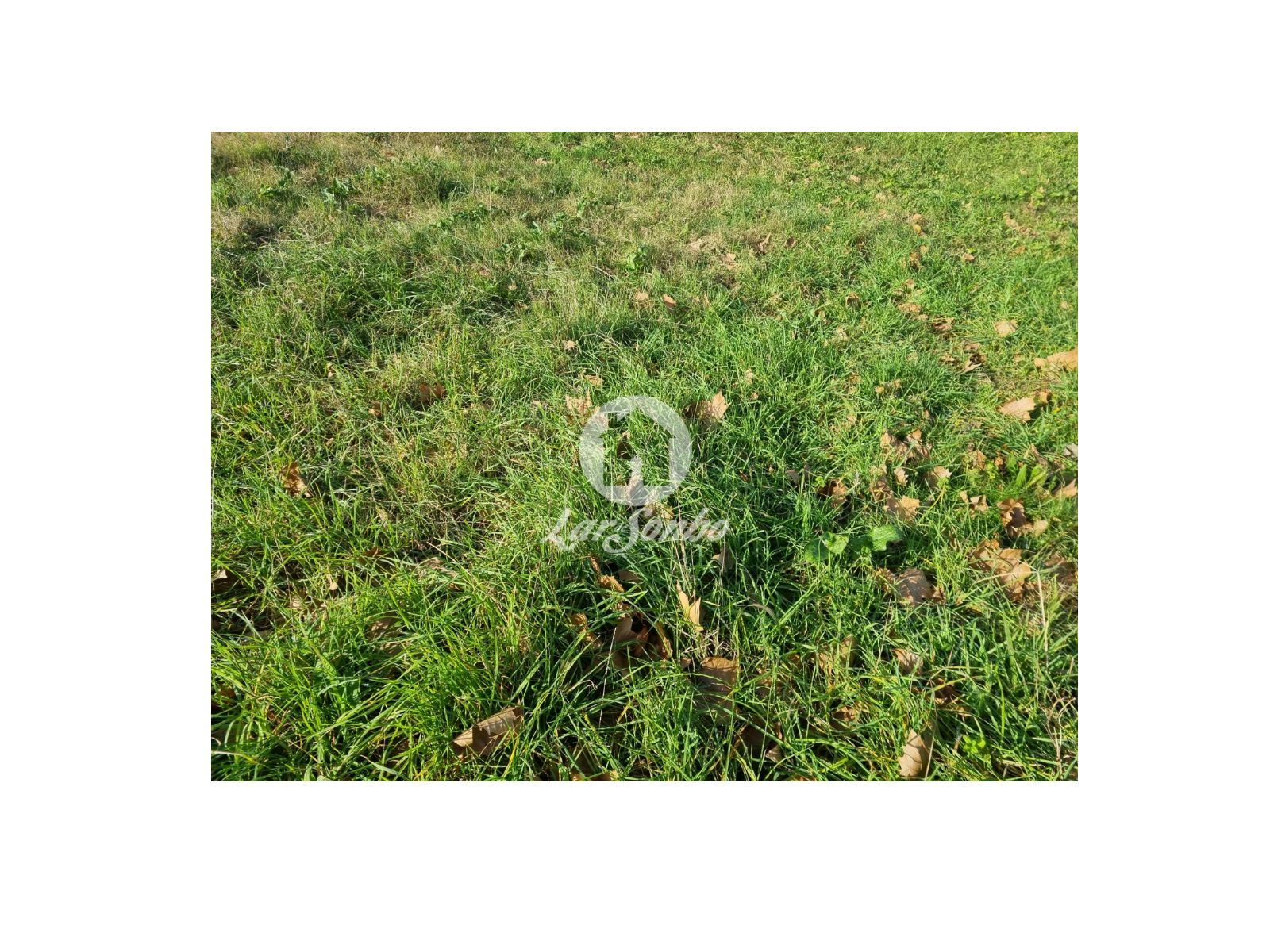 Terreno para Venda em Galegos (Santa Maria)