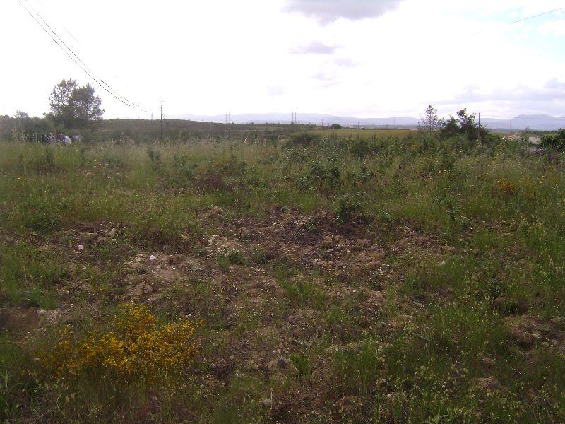 Terreno para Venda em Castelo Branco