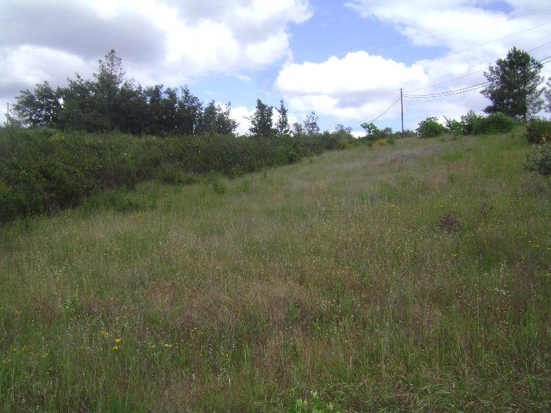 Terreno para Venda em Castelo Branco