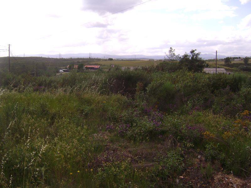 Terreno para Venda em Castelo Branco