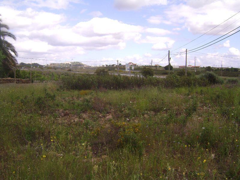 Terreno para Venda em Castelo Branco