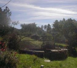 Quintinha, para Compra