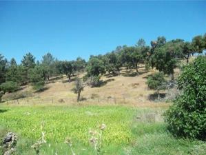 Terreno rústico, para Compra