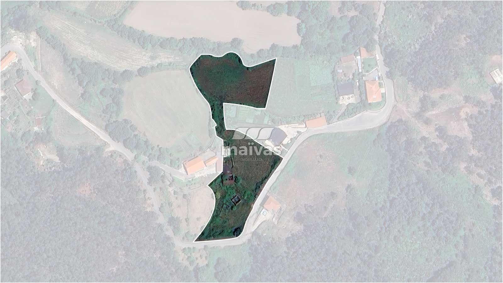 Negócio para Venda em Pico de Regalados, Gondiães e Mós