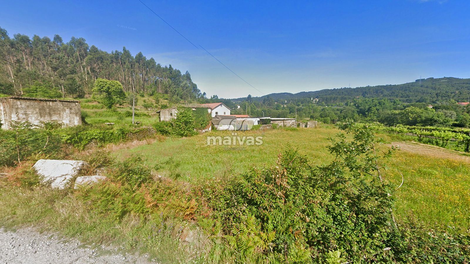 Negócio para Venda em Pico de Regalados, Gondiães e Mós