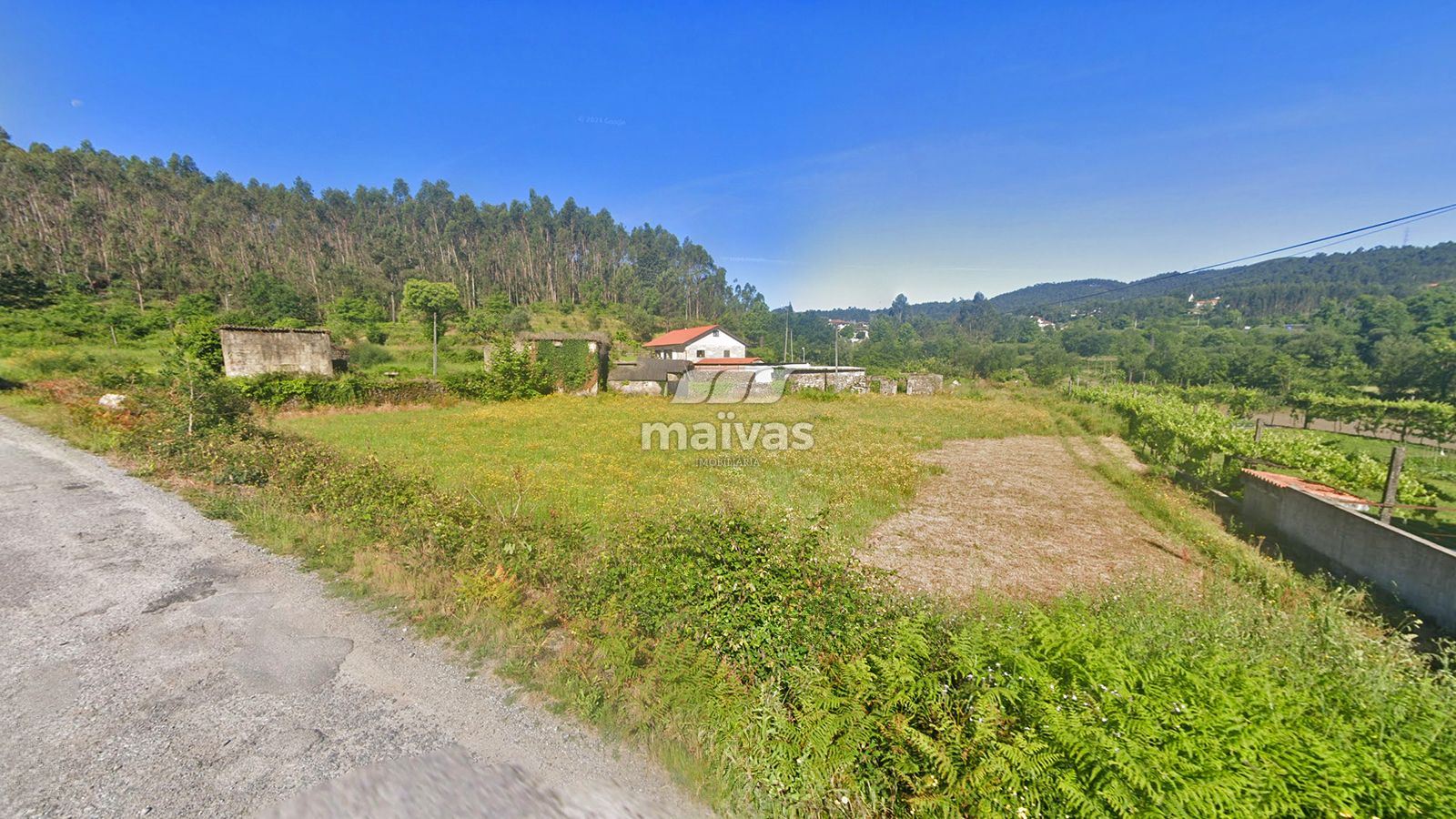 Negócio para Venda em Pico de Regalados, Gondiães e Mós