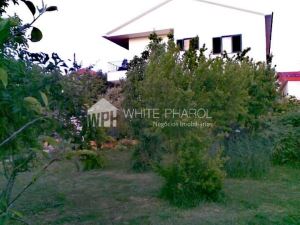 Quinta com 4 Quartos para Compra