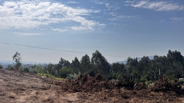 Terreno urbano  - Barcelos, Silveiros e Rio Covo (Santa Eulália)