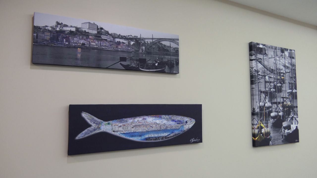 Terreno Agricola ou Rústico para Arrendamento em Cidade da Maia