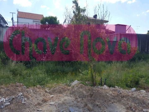 Terreno para Venda em Oliveira do Douro
