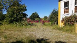 Quintinha T5, para Compra