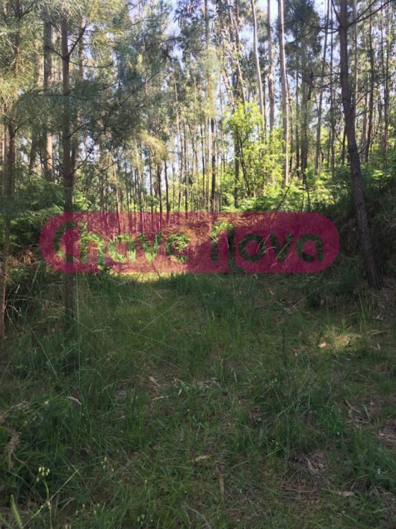 Terreno para moradia 