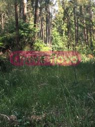 Terreno para moradia 