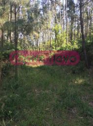 Terreno para moradia 