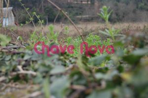Terreno para construção em Avintes