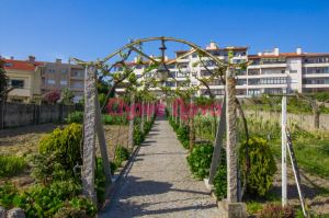 Quinta T5, para Compra