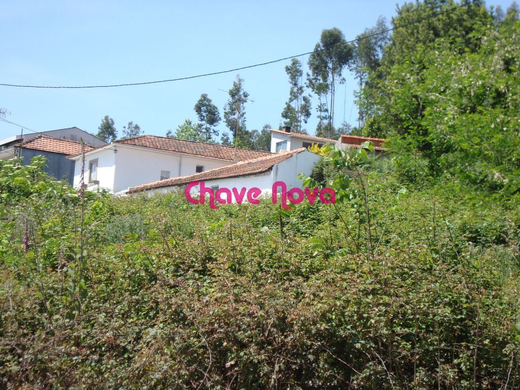 Terreno Urbano em Pedroso