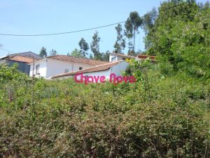 Terreno Urbano em Pedroso
