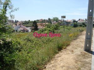 Terreno Urbano em Pedroso