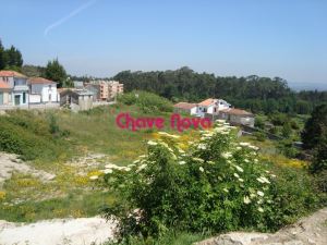 Terreno Urbano em Pedroso