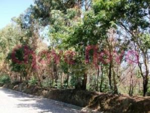 Terreno em São Felix da Marinha