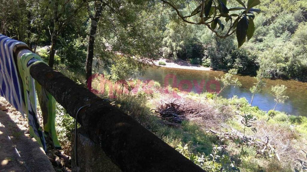Terreno na margem do Rio Paiva
