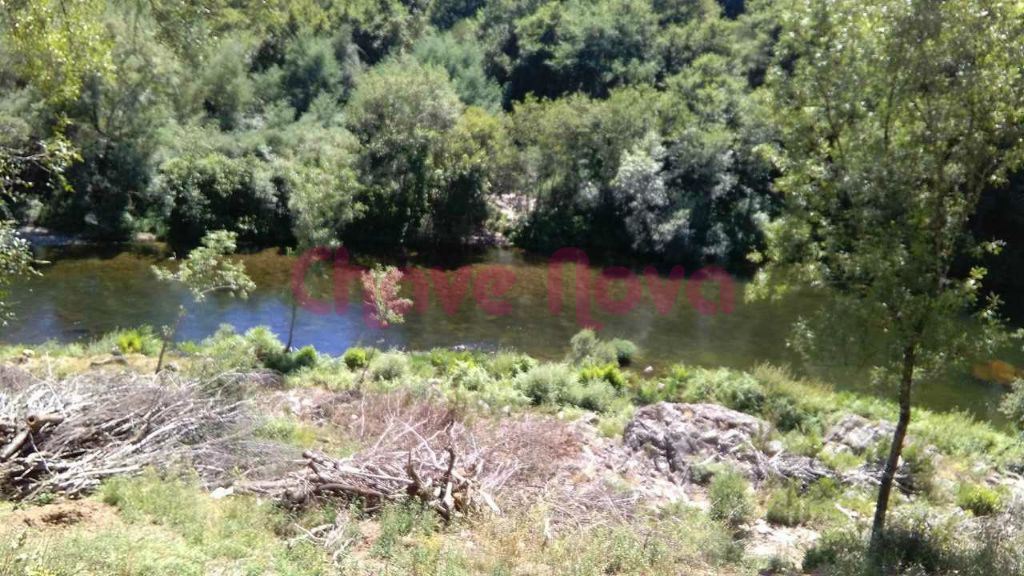 Terreno na margem do Rio Paiva