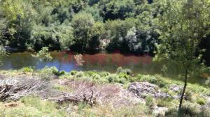 Terreno na margem do Rio Paiva