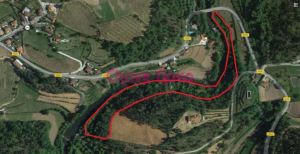 Terreno e casa 9.000m2 Cabeceiras de Basto