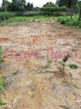 Mixed land, para Sale