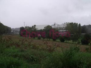 Rustic land, para Sale