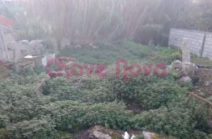 Townhouse T2, para Sale