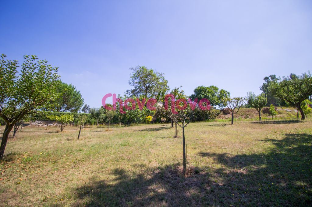 Quinta em Lousada
