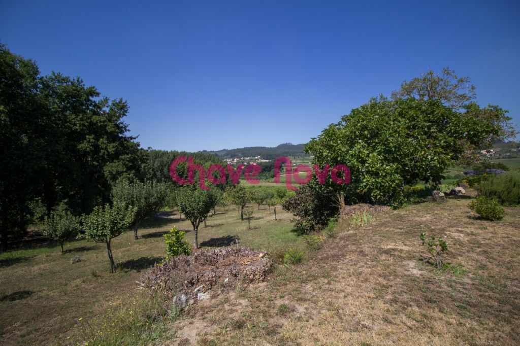 Quinta em Lousada