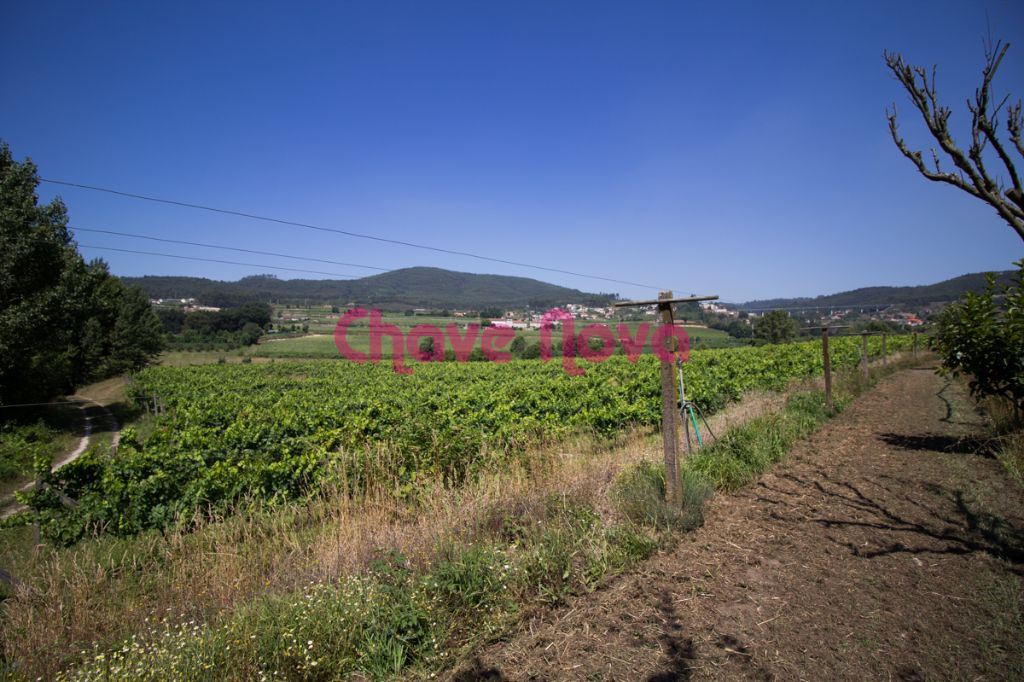 Quinta em Lousada