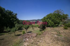 Quinta em Lousada