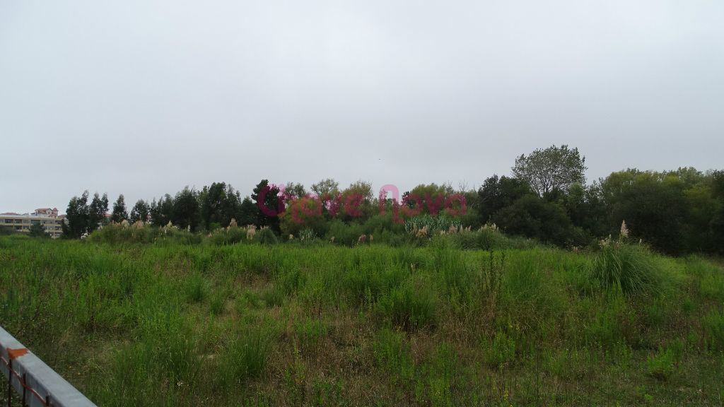 Terreno p/ construção de 7 moradias Térreas