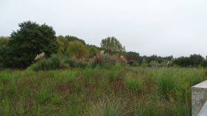 Terreno p/ construção de 7 moradias Térreas