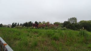 Terreno p/ construção de 7 moradias Térreas