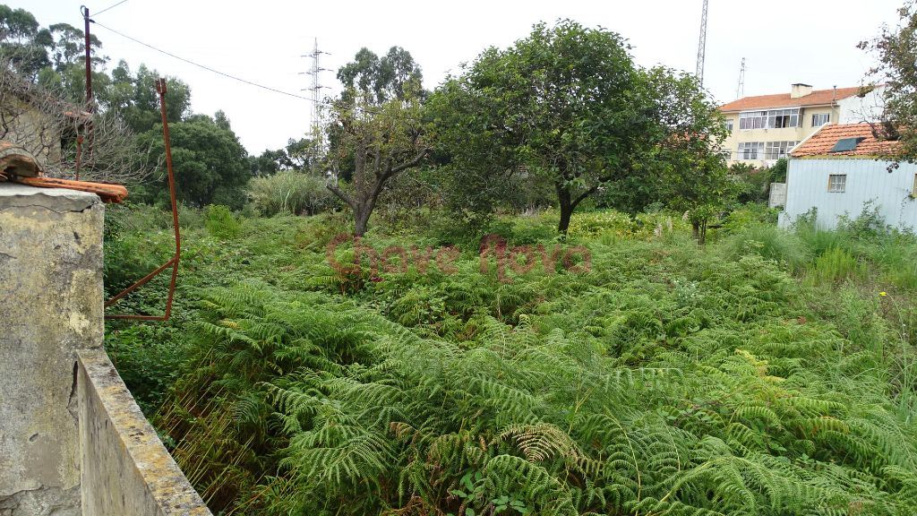 Terreno p/ construção de moradias 3 ou 4 frentes
