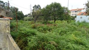 Terreno p/ construção de moradias 3 ou 4 frentes
