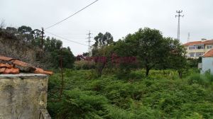 Terreno p/ construção de moradias 3 ou 4 frentes