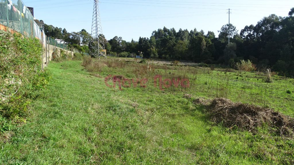 Terreno Misto para Quintinha/Moradia