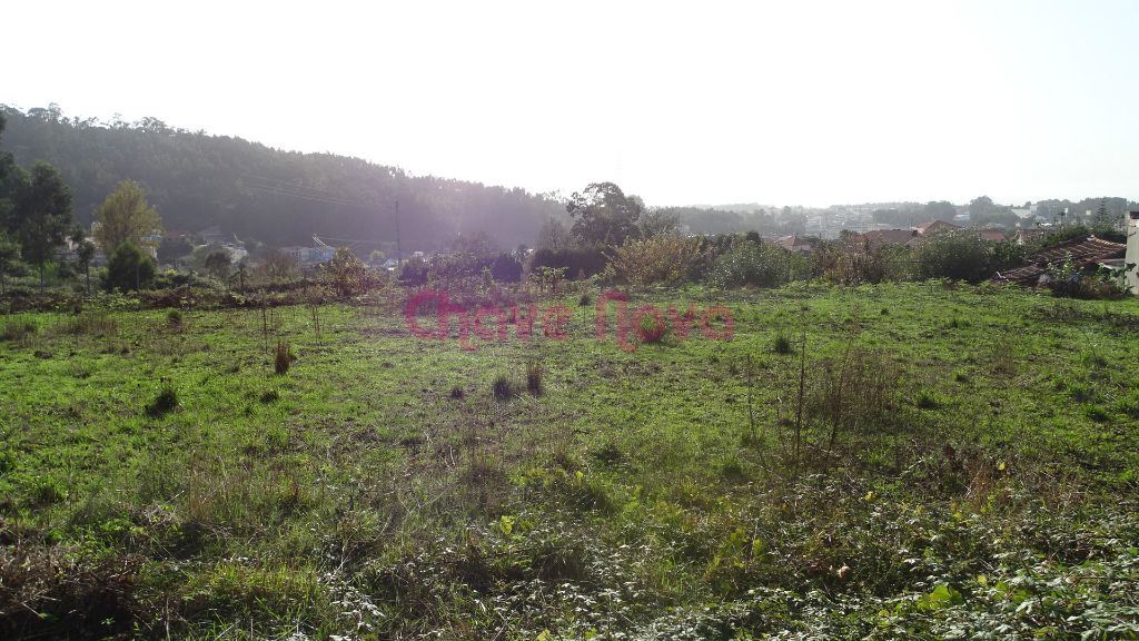 Terreno Misto para Quintinha/Moradia
