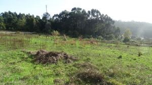 Terreno Misto para Quintinha/Moradia