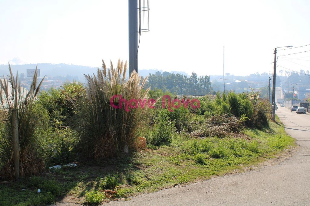 Terreno para Venda em Mozelos