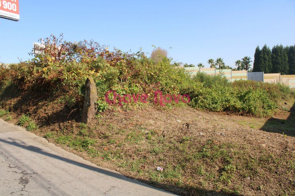 Terreno para Venda em Mozelos